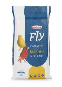 CANARIA – FLY TECHNICAL