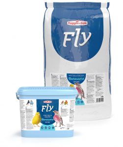 BENESSERE – FLY EXTRA FLY