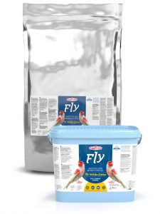 TH WHITE EXTRA – FLY PATÉ