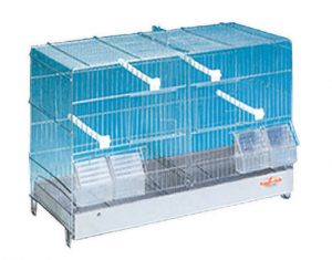 SUN RAY – GABBIA HOBBY COVA