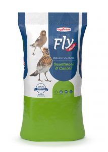 DOREMÌ – FLY MELODY