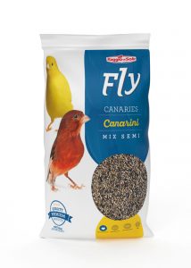 CANARINI – FLY HOBBY
