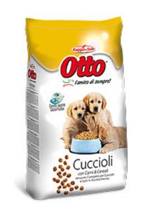 OTTO CUCCIOLI