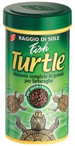 FISH TURTLE