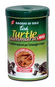 FISH TURTLE GAMMARUS BIG