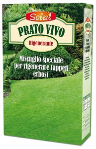 PRATO VIVO FLEUR DU SOLEIL