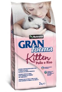 GRANFORMA KITTEN