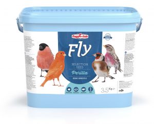 PERILLA – FLY SELECTION SEED