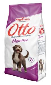 OTTO DYNAMIC