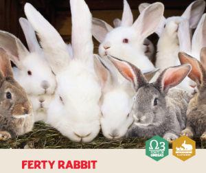 FERTY RABBIT