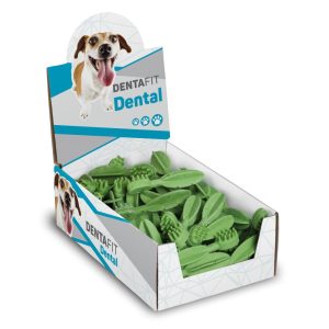 DENTAL BRUSH CHLOROPHYLL M