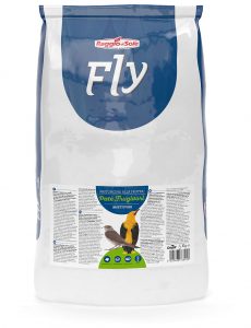 PATÉ FRUGIVORI – FLY INSECTIVOROUS