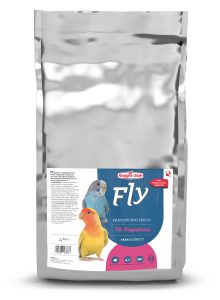 TH PAPAKEET – FLY PATÉ