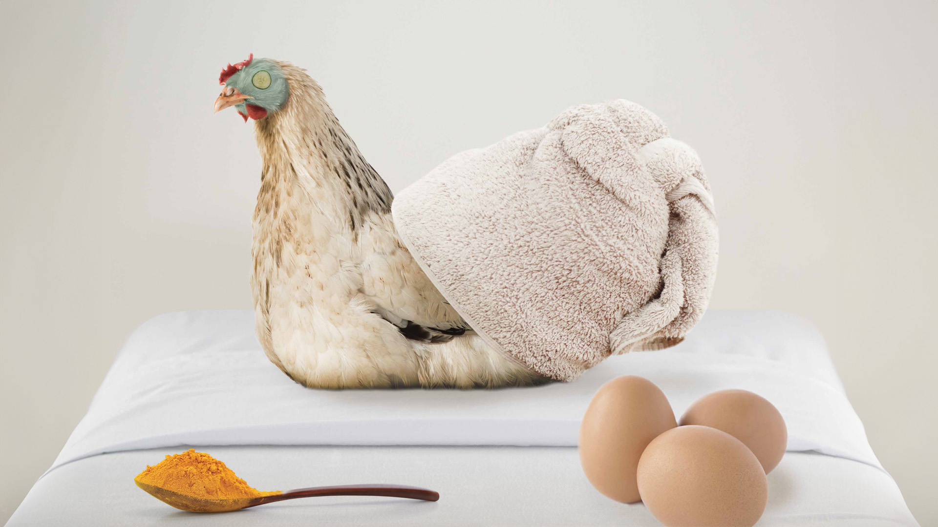 I nostri prodotti più distintivi per galline ovaiole