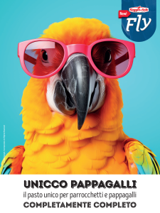 foto Da oggi la nutrizione dei pappagalli ha un nuovo nome: UNICCO PAPPAGALLI!