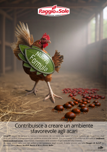 foto Nuova soluzione naturale per la gestione degli acari nel pollaio