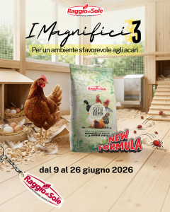 foto I Magnifici 3!