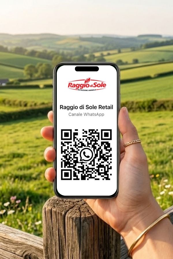 foto È attivo il nuovo servizio di aggiornamenti WhatsApp di Raggio di Sole Retail.
